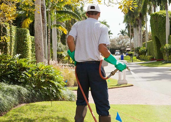 About Chanute KS Pest Control